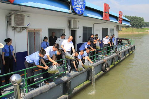 湖北省檢察機(jī)關(guān) 十年禁捕護(hù)航長江生態(tài)，固體廢物治理助力大保護(hù)